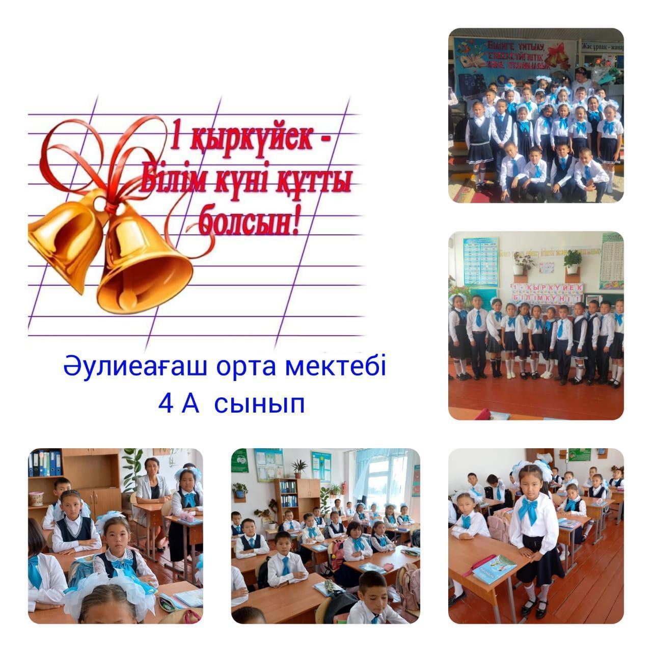 Бастауыш сынып мұғалімі Жионбаева Дания