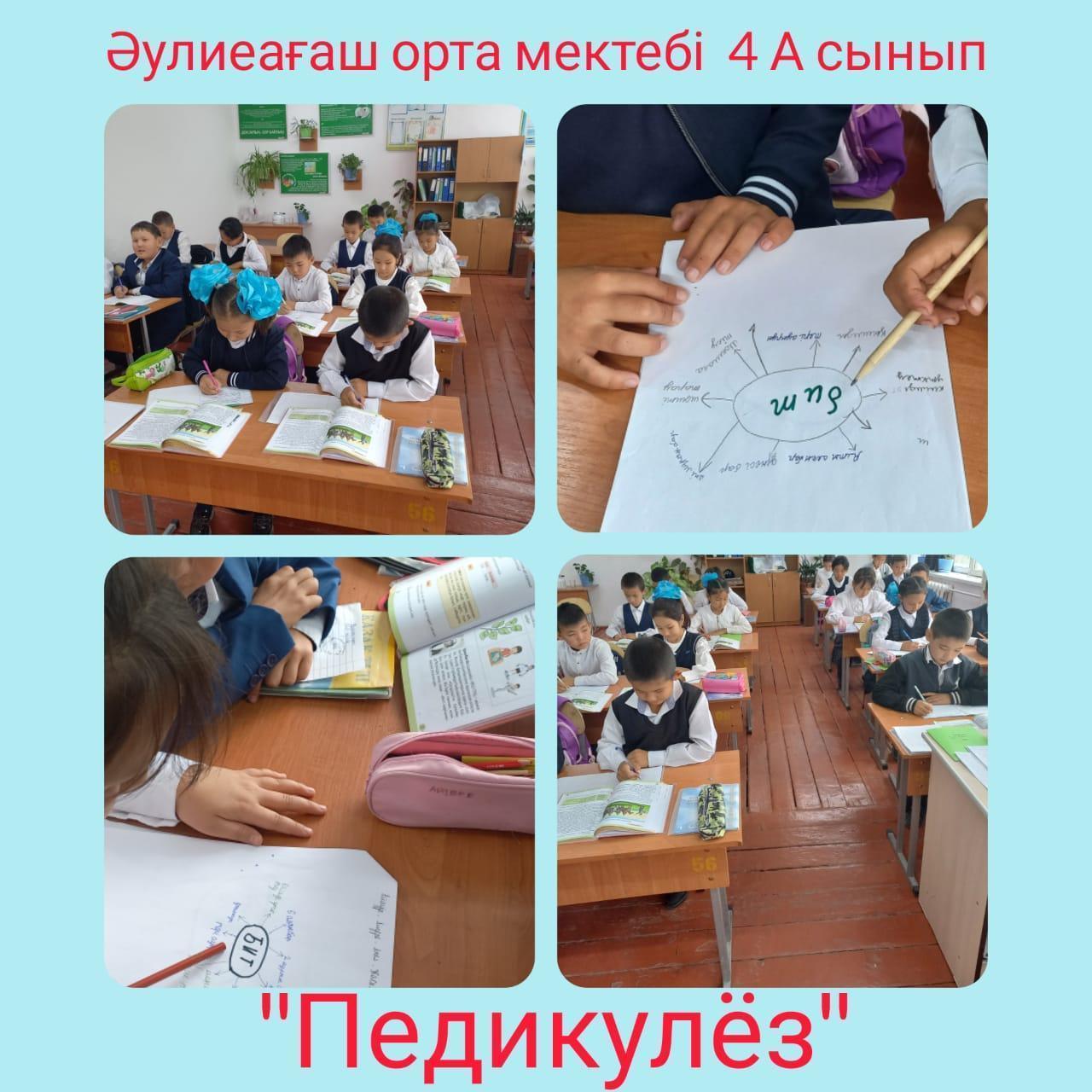 Бастауыш сынып мұғалімі Жионбаева Дания